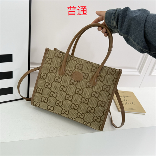 Gucci bag-0152