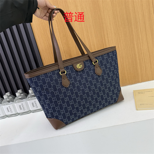 Gucci bag-0173