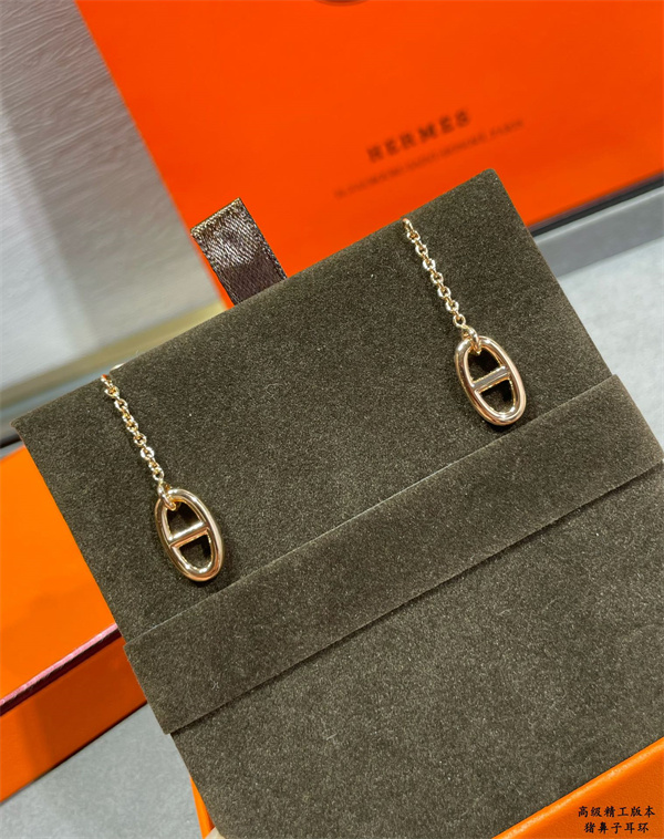 Hermes Earrings-039