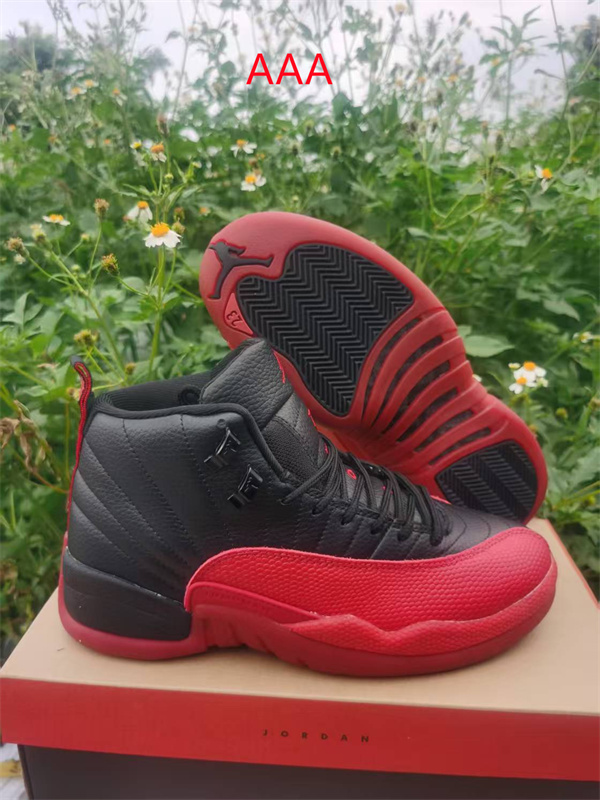 Jordan12(AAA)-W-0009