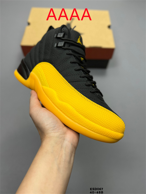 Jordan12(AAAA)-M-0014