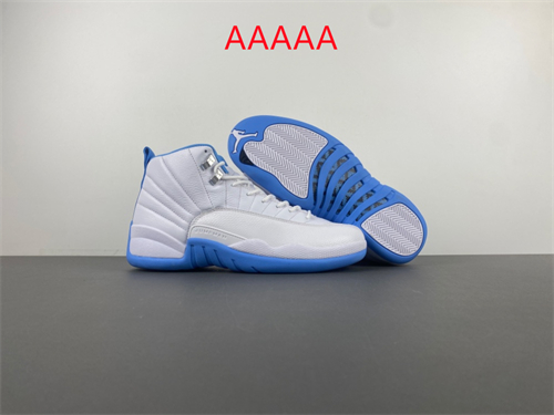 Jordan12(AAAAA)-M-0012