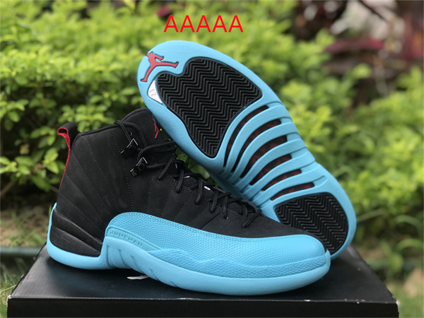 Jordan12(AAAAA)-M-0002