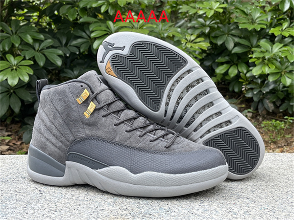 Jordan12(AAAAA)-M-0020