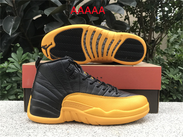 Jordan12(AAAAA)-M-0028