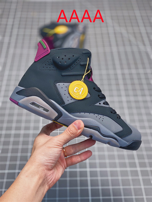 Jordan6(AAAA)-W-005