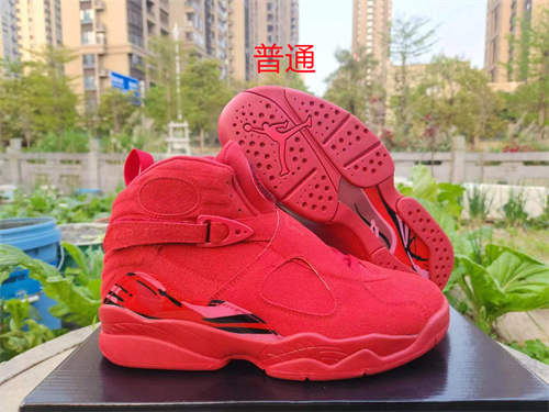 Jordan8-0026
