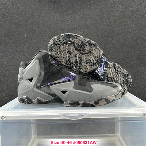 Lebron James 11-M-0014