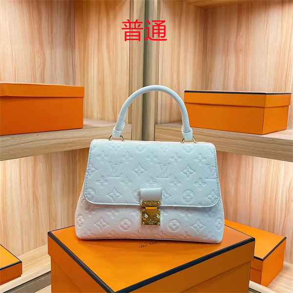 LV bag-0248