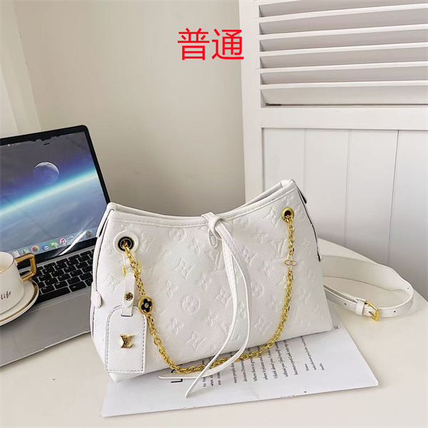 LV bag-0253