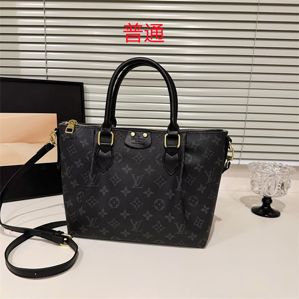 LV bag-0484
