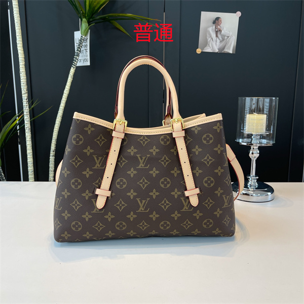 LV bag-0573