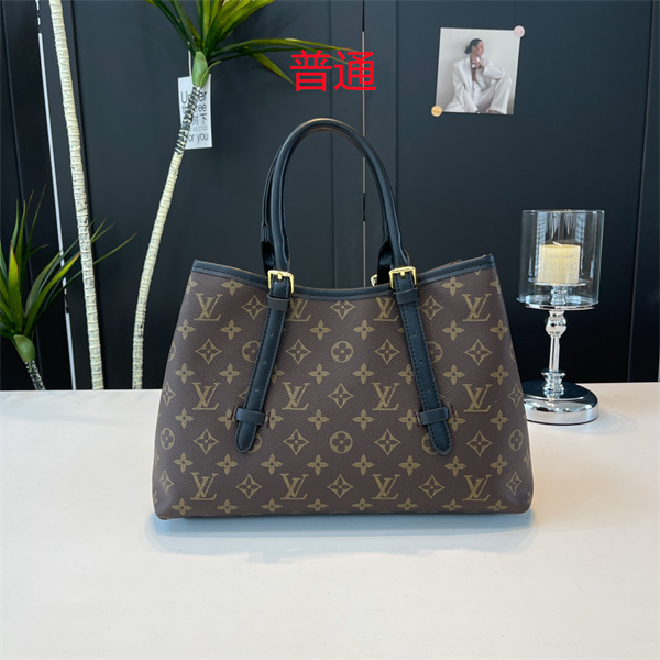 LV bag-0576