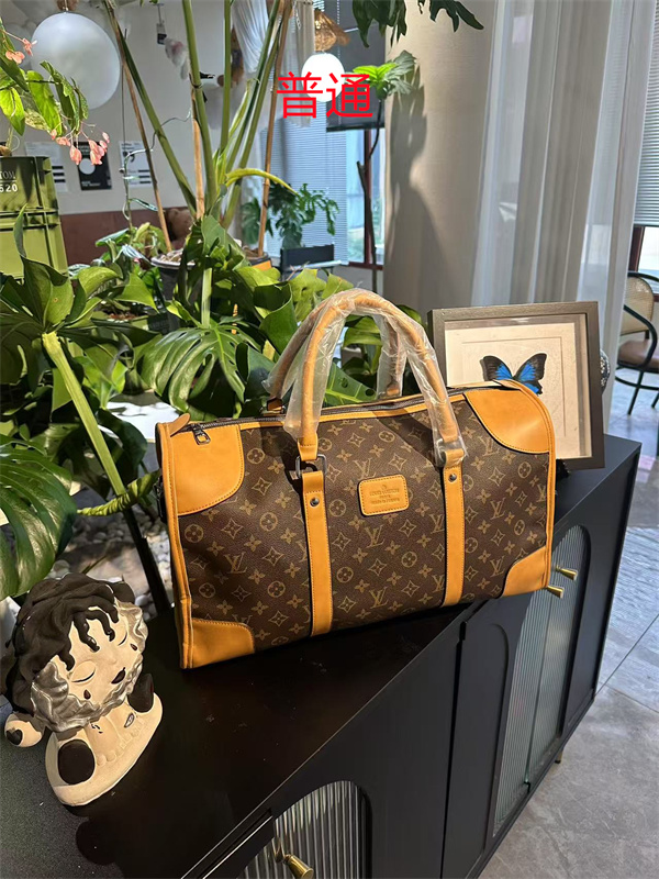 LV bag-0640