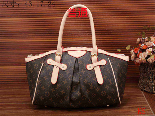 LV bag-0064