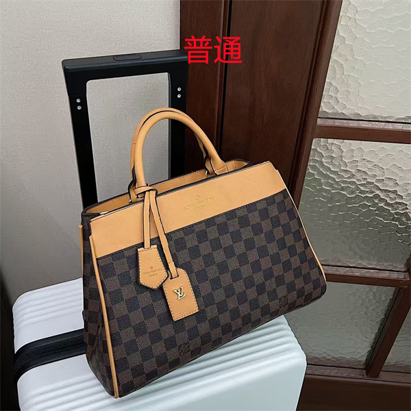 LV bag-0872