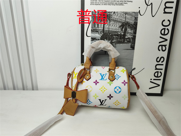 LV small bag-1045
