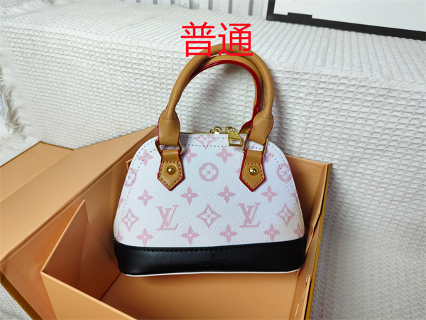 LV small bag-1093