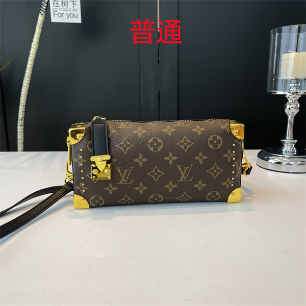 LV small bag-1141