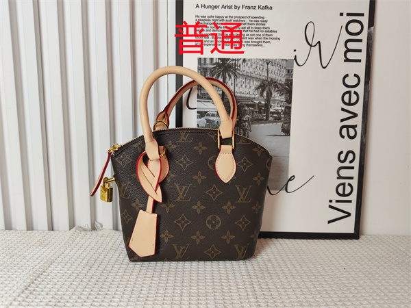 LV small bag-1151
