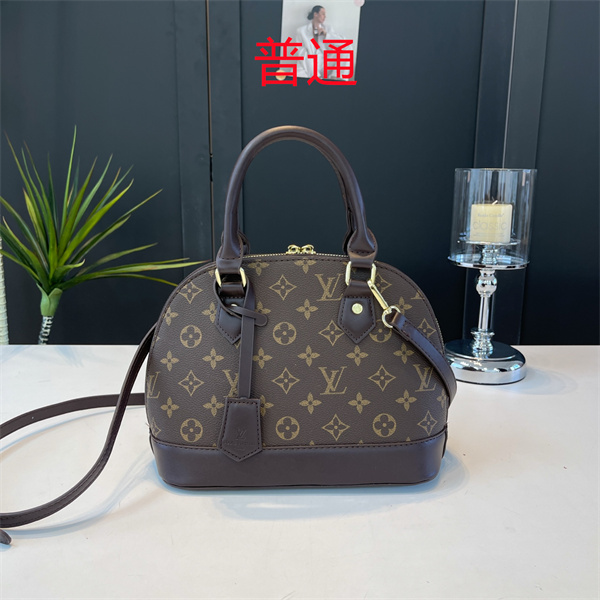 LV small bag-1184