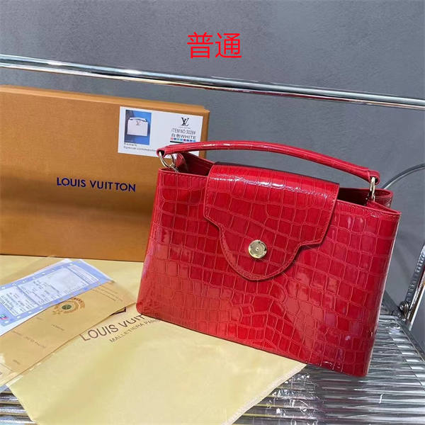 LV small bag-1355