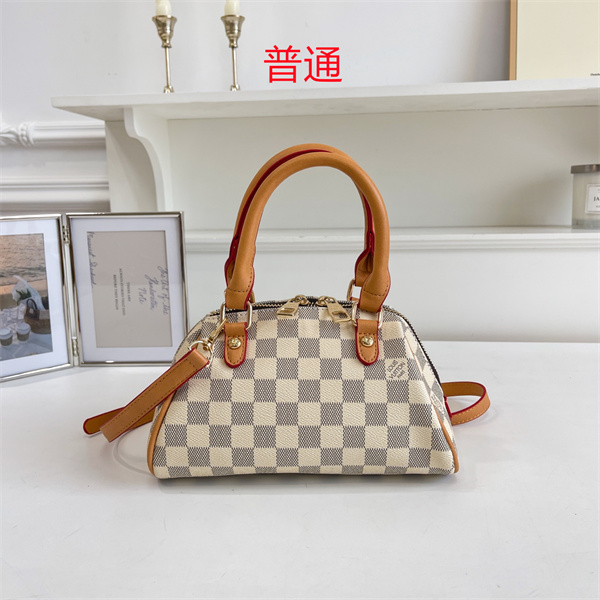 LV small bag-1546