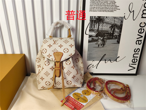 LV small bag-2088