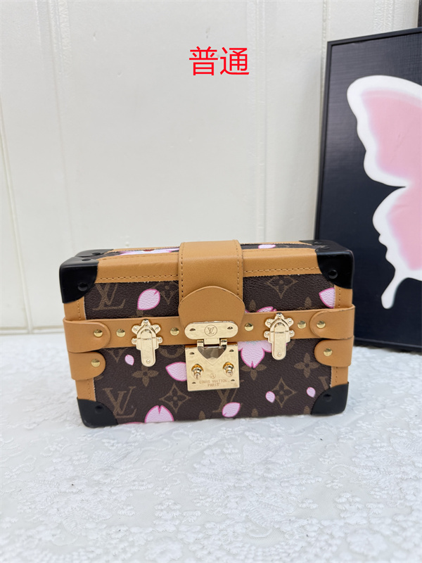 LV small bag-2346
