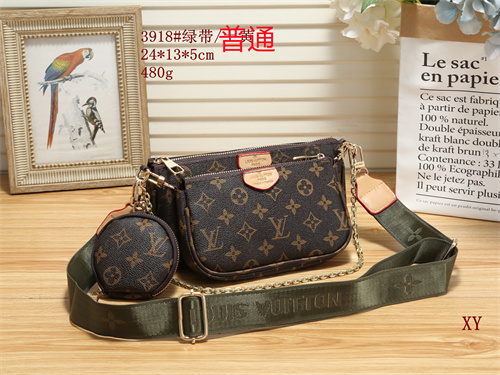 LV small bag-0458