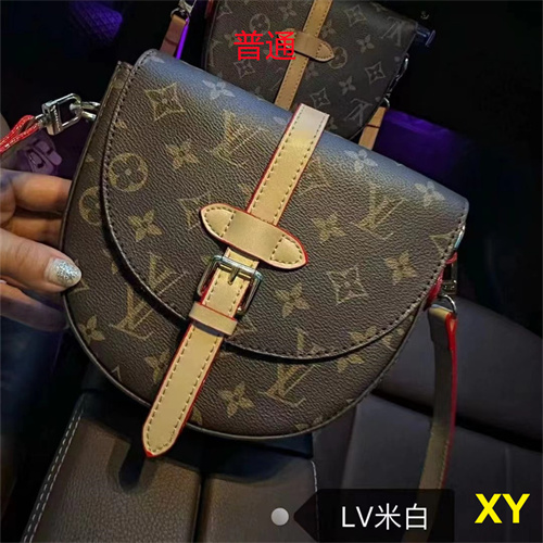 LV small bag-0479