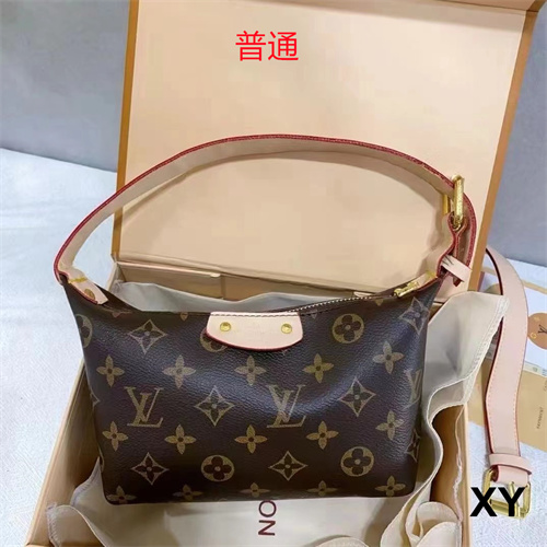 LV small bag-0481