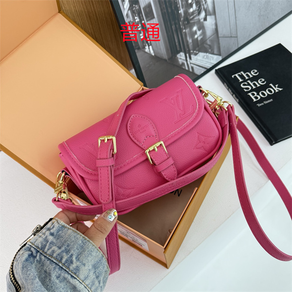 LV small bag-0869
