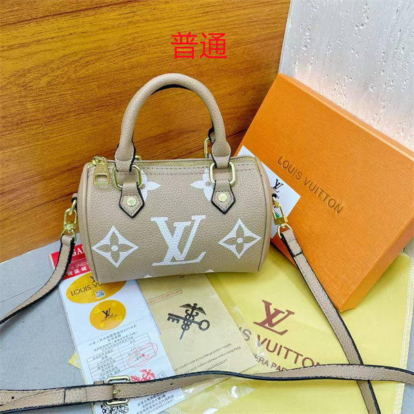 LV small bag-0910