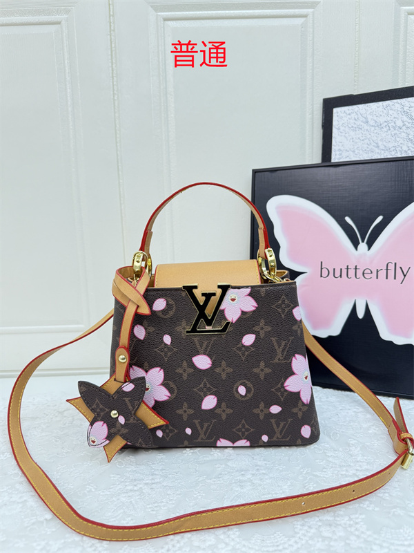 LV small bag-0951
