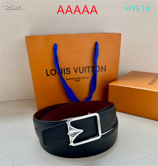 LV(AAAAA)Belt-0046