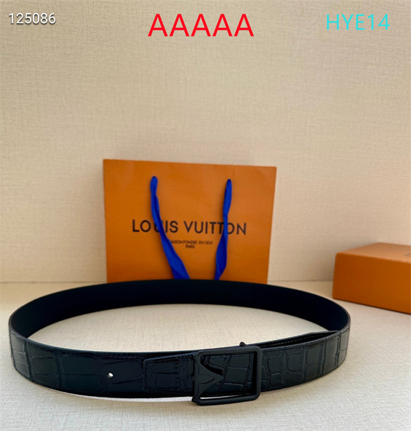 LV(AAAAA)Belt-0049
