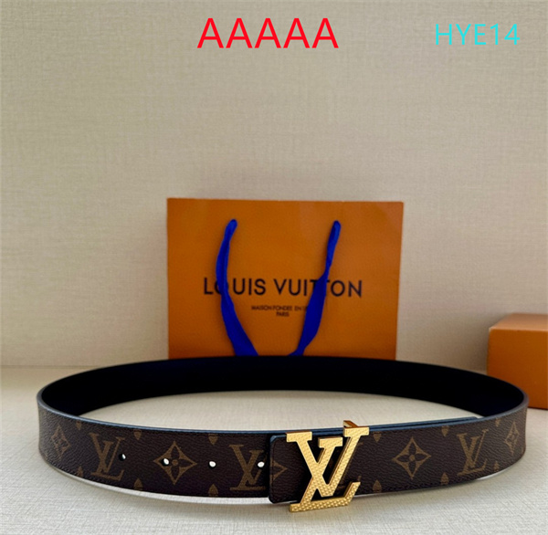LV(AAAAA)Belt-0071