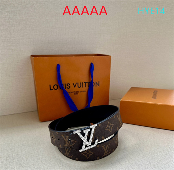 LV(AAAAA)Belt-0073