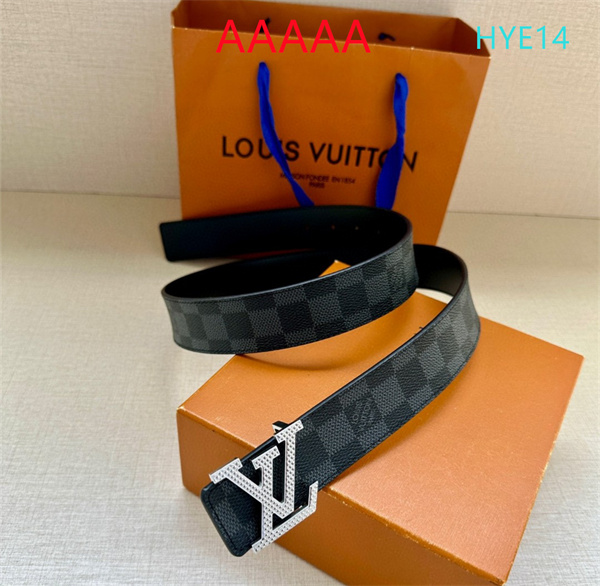 LV(AAAAA)Belt-0078