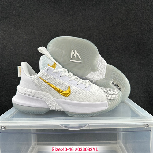 Lebron Ambassador 12(AAA)-002
