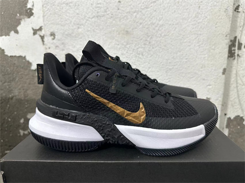 Lebron Ambassador 12-M-0012