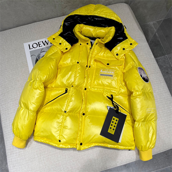 Moncler Down Jacket-M-132