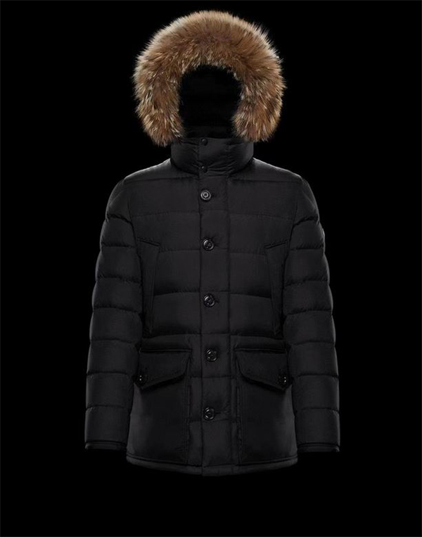 Moncler Down Jacket-M-045