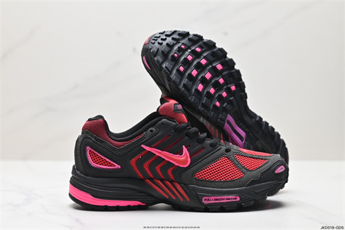 Nike Air Pegasus 2K5-W-0007