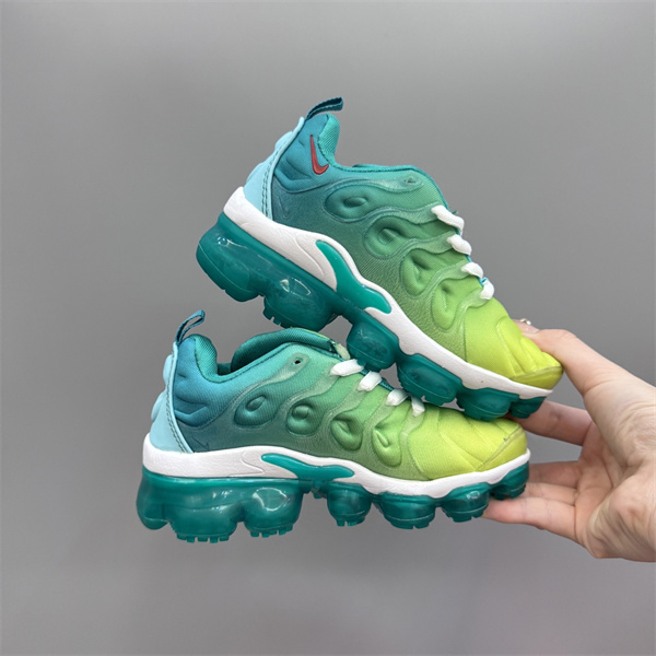 Nike Air VaporMax PLUS(Kids)-0012