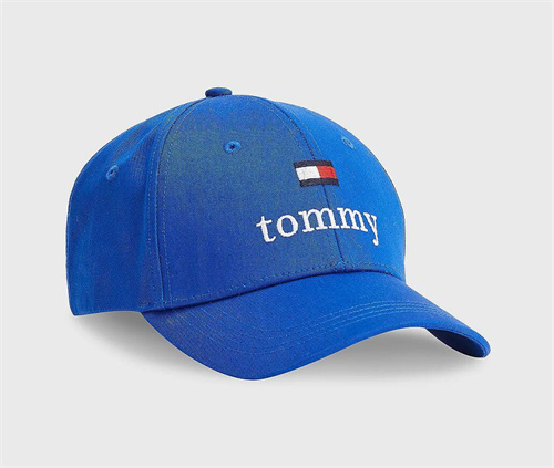 Tommy hilfiger Snapbacks-0046