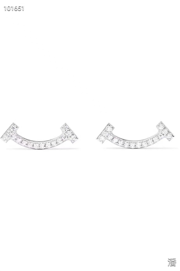 Tiffany Earrings-058