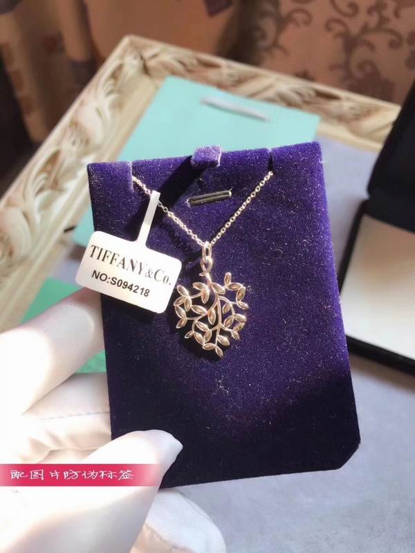 Tiffany Necklace-021