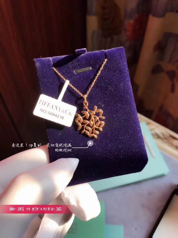 Tiffany Necklace-022